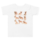 Lions (Toddler Short Sleeve Tee)